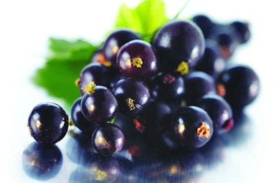 Blackcurrant Cream