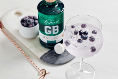 Infused Fruit Gin Recipe