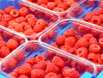 Raspberries