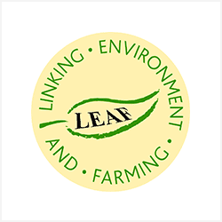 LEAF Logo